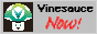 vinesauce now